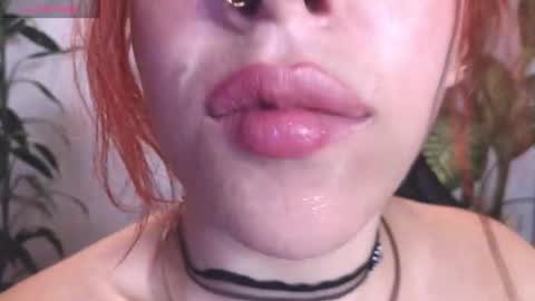 Bri  online show from 8, 2, 2026