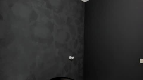 Snapshot of brianhunts chatting on 23, 1, 2025 Brian online show from 23, 1, 2025