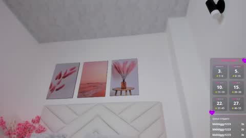 Snapshot of brianna_bigboobs chatting on 27, 9, 2025 online show from 27, 9, 2025