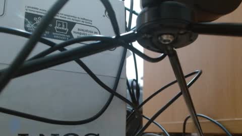 Snapshot of brigittebia777 chatting on 10, 10, 2025 brigittebia777 online show from 10, 10, 2025