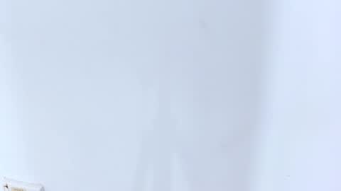 Brittany  online show from 20, 2, 2025