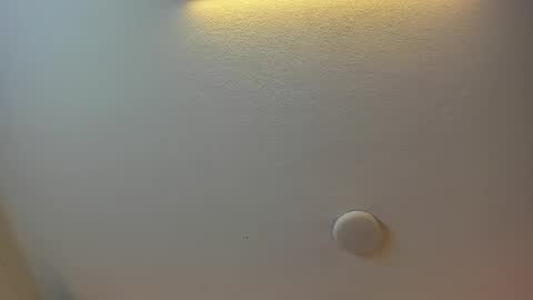 Brittany  online show from 6, 3, 2025