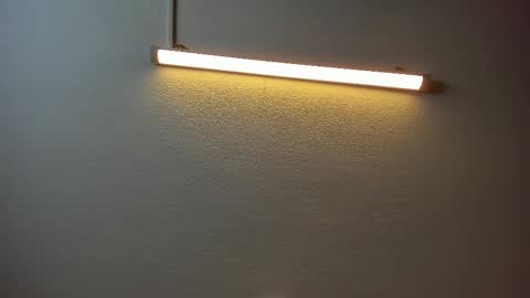 Brittany  online show from 8, 3, 2025