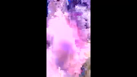 Snapshot of britzchris chatting on 3, 3, 2026 britzchris online show from 3, 3, 2026