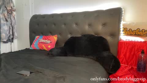 Brody Biggs online show from 9, 1, 2026