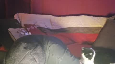 brownboyt online show from 19, 12, 2025