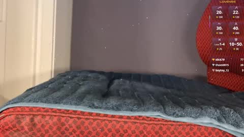 Brsrkr online show from 8, 1, 2026