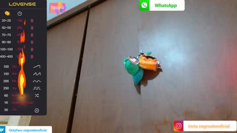 Enjoy the best muscle straws   online show from 27, 1, 2025