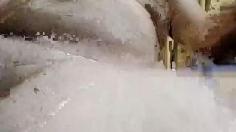 bryancody227 online show from 15, 9, 2025