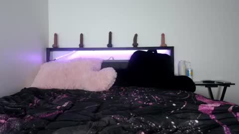 Queen Lola XXX online show from 29, 6, 2026
