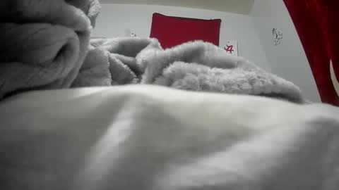 Snapshot of budsonly33 chatting on 12, 12, 2024 budsonly33 online show from 12, 12, 2024