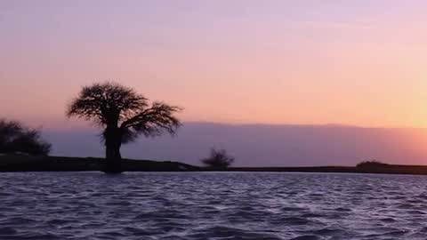 rskbing  online show from 4, 12, 2025