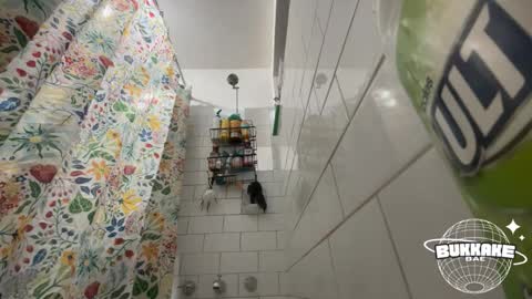 bukkakebae online show from 11, 9, 2025