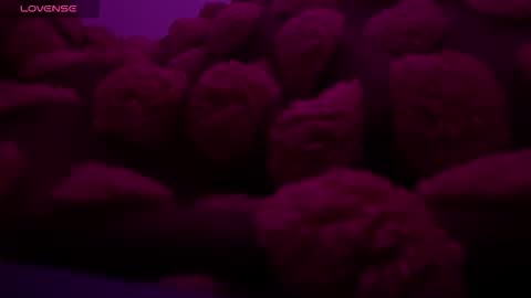 bukkakebae online show from 15, 11, 2025