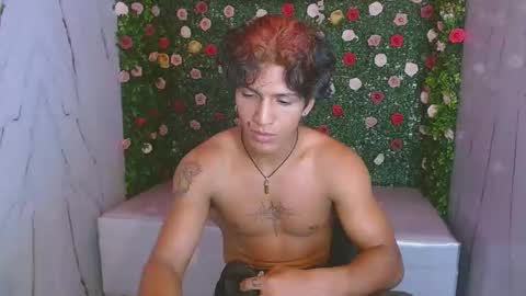 bull_cam online show from 20, 12, 2025