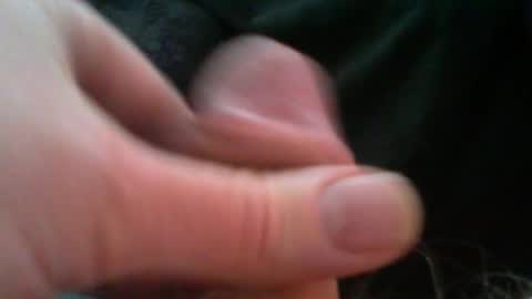 bullemoe online show from 28, 2, 2026