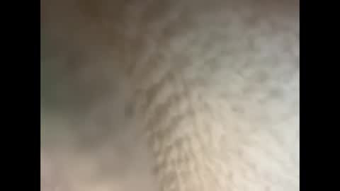 Snapshot of bullhungcub chatting on 5, 12, 2024 bull cub online show from 5, 12, 2024