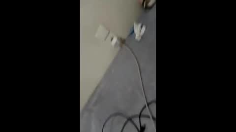 bullspain27266272 online show from 29, 1, 2025