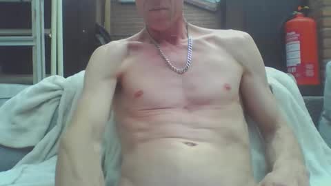 Dutch cock online show from 4, 5, 2026