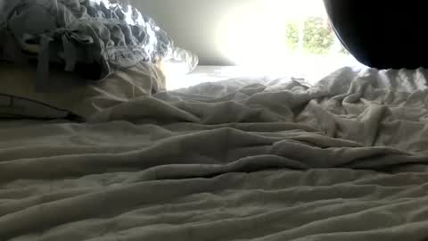 Snapshot of bunny286025 chatting on 11, 2, 2025 bunny286025 online show from 11, 2, 2025