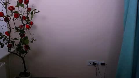 Ariel online show from 21, 10, 2025