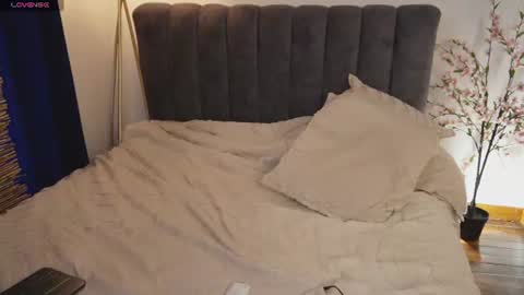 Snapshot of bunnycute_shy chatting on 2, 7, 2026 30 Off online show from 2, 7, 2026