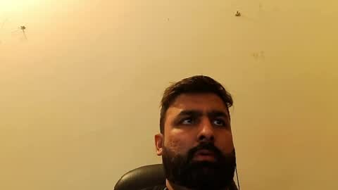 Hairy Arabian online show from 20, 2, 2025