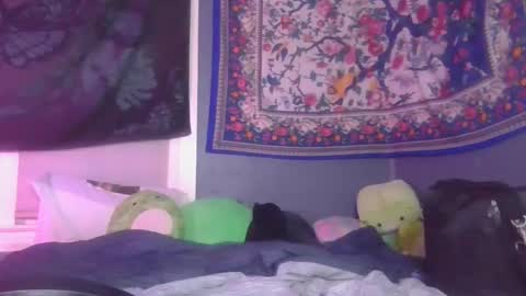 lilly online show from 16, 12, 2024