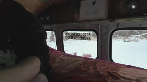 Snapshot of busbuddies chatting on 29, 12, 2024 busbuddies online show from 29, 12, 2024