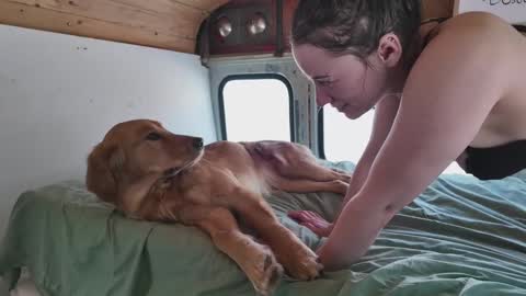 Snapshot of busbuddies chatting on 2, 2, 2025 busbuddies online show from 2, 2, 2025