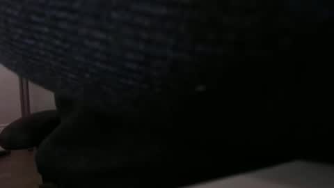 bushhouse21 online show from 23, 11, 2025