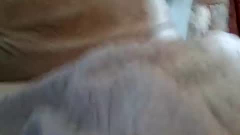 Buster18Hymen online show from 1, 2, 2026