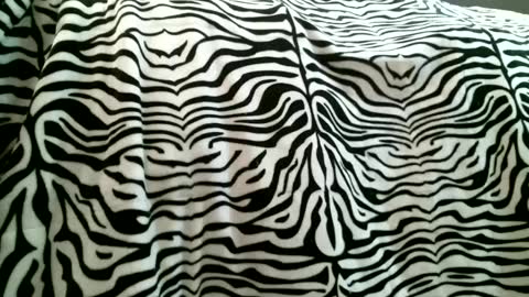 Snapshot of bustinfree chatting on 5, 2, 2025 bustinfree online show from 5, 2, 2025