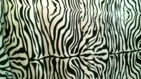 Snapshot of bustinfree chatting on 18, 10, 2025 bustinfree online show from 18, 10, 2025