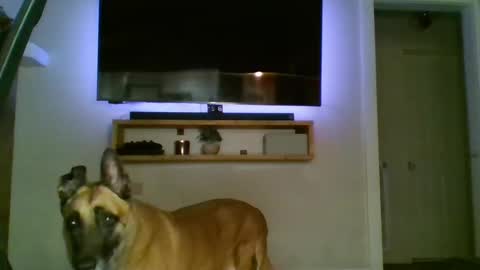 Snapshot of bwc44u chatting on 2, 10, 2025 bwc44u online show from 2, 10, 2025