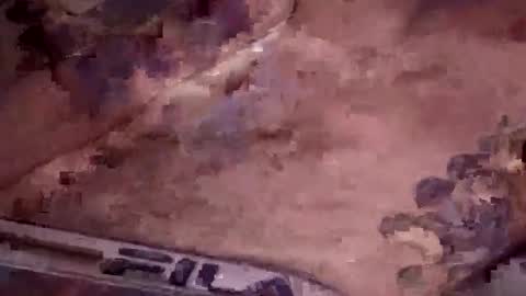 Tallnslimftlaud online show from 18, 11, 2025