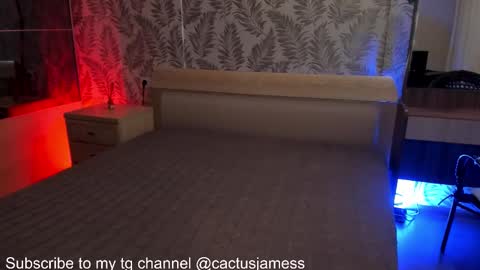 Snapshot of cactusjames_69 chatting on 23, 10, 2025 James online show from 23, 10, 2025
