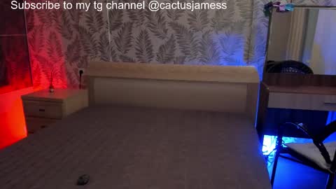 Snapshot of cactusjames_69 chatting on 27, 10, 2025 James online show from 27, 10, 2025