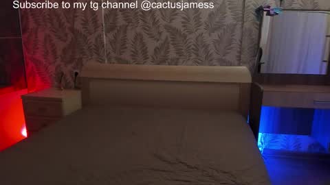 Snapshot of cactusjames_69 chatting on 27, 11, 2025 James online show from 27, 11, 2025