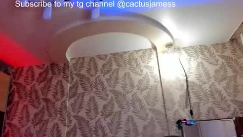 Snapshot of cactusjames_69 chatting on 5, 12, 2025 James online show from 5, 12, 2025