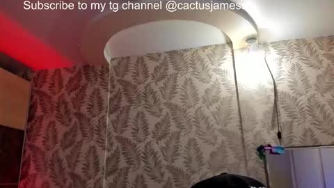 Snapshot of cactusjames_69 chatting on 16, 12, 2025 James online show from 16, 12, 2025