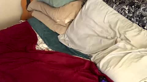 Cadillac P online show from 11, 1, 2025