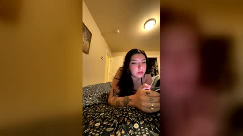 cakenfrosting online show from 4, 5, 2026