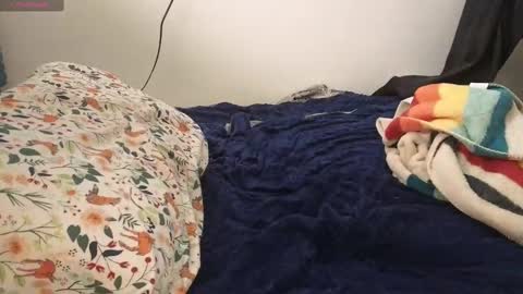 Calypso online show from 7, 10, 2025