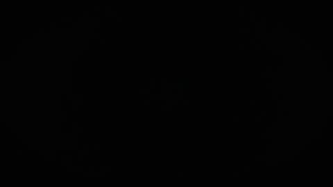 Charly online show from 2, 4, 2026