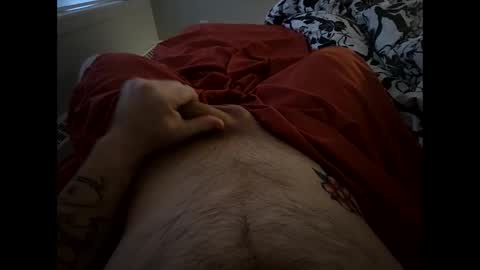 Snapshot of cameronwillcam chatting on 22, 2, 2026 Boredhairyotter online show from 22, 2, 2026