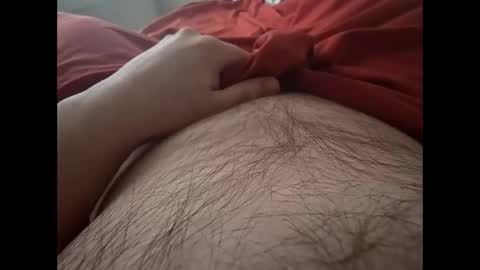 Snapshot of cameronwillcam chatting on 3, 3, 2026 Boredhairyotter online show from 3, 3, 2026