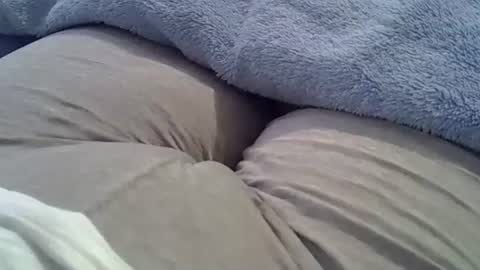 Snapshot of camilaperes69 chatting on 24, 9, 2025 flash 50 tokens BIG CLIT tits pussy. masturbation big clit 150 tokens fingers inside pussy 1000 tk pump big clit 300 tk online show from 24, 9, 2025