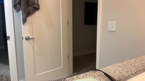 camiliakxoxo online show from 8, 12, 2024