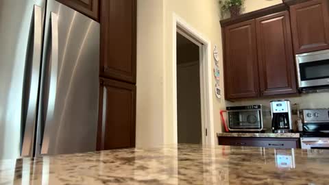 Snapshot of camperjay chatting on 24, 9, 2025 james online show from 24, 9, 2025